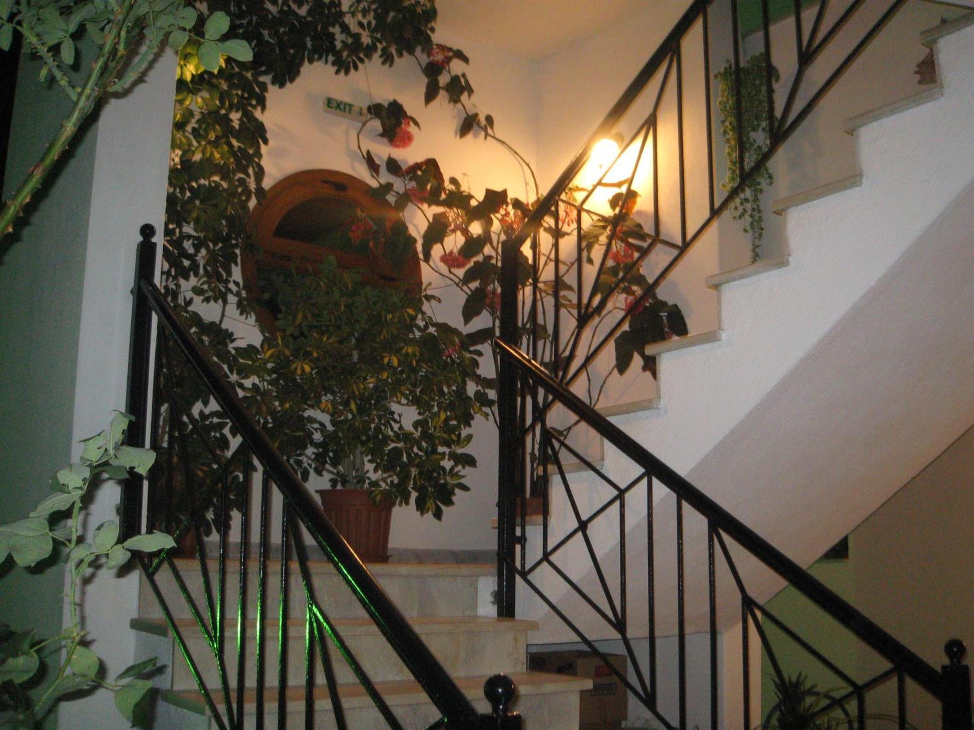 Palatino Studios Agia Paraskevi (Skiathos) Exterior foto