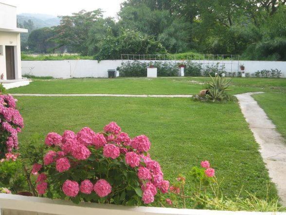 Palatino Studios Agia Paraskevi (Skiathos) Exterior foto