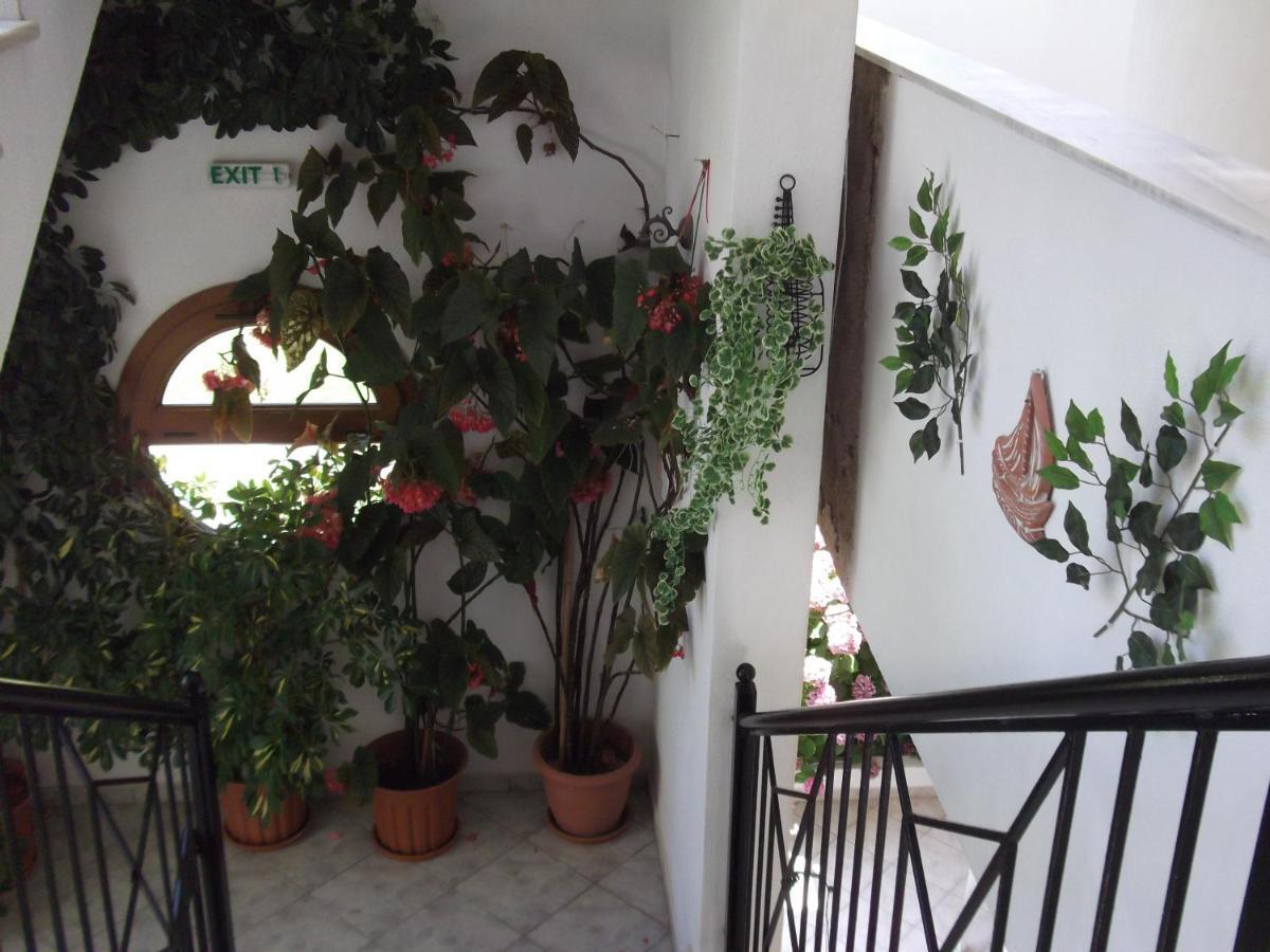 Palatino Studios Agia Paraskevi (Skiathos) Exterior foto